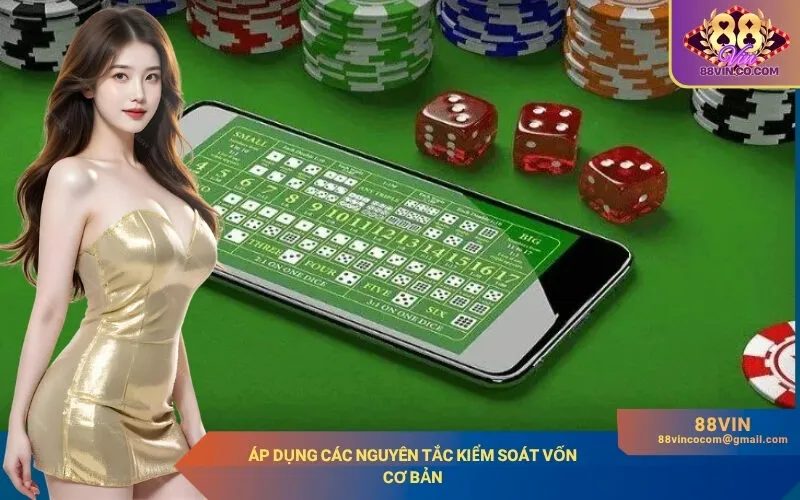 Áp dụng các nguyên tắc kiểm soát vốn cơ bản