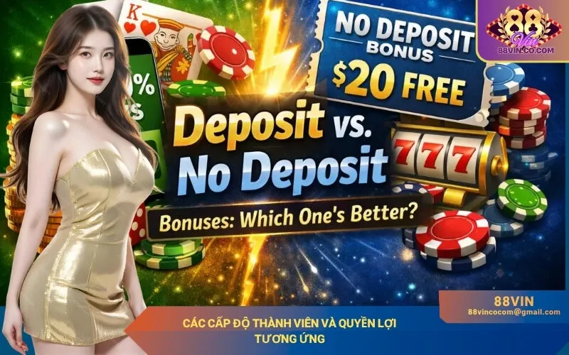 Các cấp độ thành viên và quyền lợi tương ứng